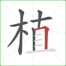 植的笔顺第8画：横折