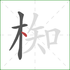 椥的笔顺第4画：点