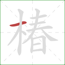椿的笔顺第1画:横 椿的笔顺第1画:横