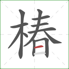 椿的笔顺第12画:横 椿的笔顺第12画:横