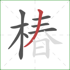 椿的笔顺第8画:撇 椿的笔顺第8画:撇