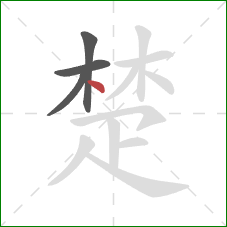 楚的笔顺第4画：点