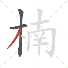 楠的笔顺第3画：撇