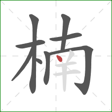 楠的笔顺第9画：点