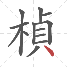 楨的笔顺第13画：点
