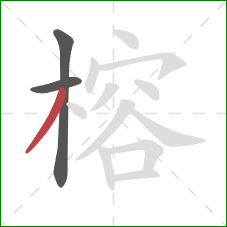榕的笔顺第3画：撇