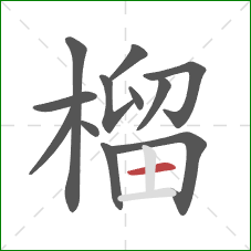 榴的笔顺第12画:横 榴的笔顺第12画:横