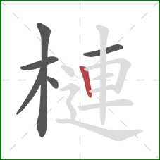 槤的笔顺第6画：竖