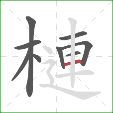 槤的笔顺第9画：横