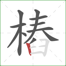 樁的笔顺第11画：竖