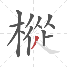樅的笔顺第14画：撇