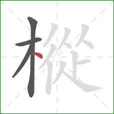 樅的笔顺第4画：点