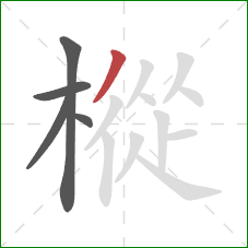 樅的笔顺第5画：撇