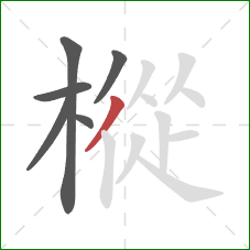 樅的笔顺第6画：撇