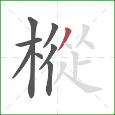 樅的笔顺第8画：撇