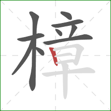 樟的笔顺第10画:竖 樟的笔顺第10画:竖