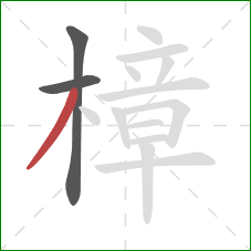 樟的笔顺第3画:撇 樟的笔顺第3画:撇
