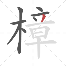 樟的笔顺第8画:撇 樟的笔顺第8画:撇