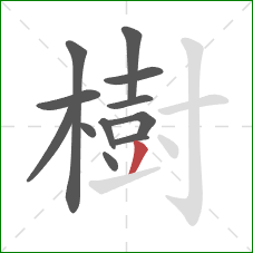 樹的笔顺第12画：撇
