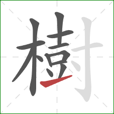 樹的笔顺第13画：提