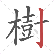 樹的笔顺第15画：竖钩