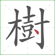 樹的笔顺第16画：点