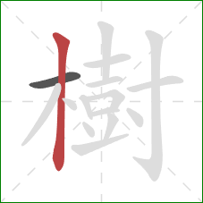 樹的笔顺第2画：竖