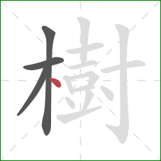 樹的笔顺第4画：点