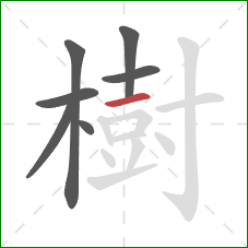 樹的笔顺第7画：横