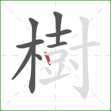 樹的笔顺第8画：竖