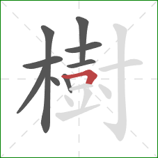 樹的笔顺第9画：横折