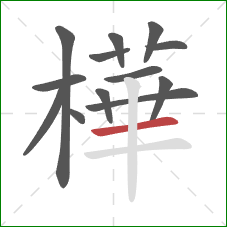 樺的笔顺第13画：横