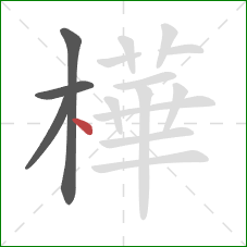 樺的笔顺第4画：点