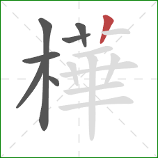樺的笔顺第7画：竖