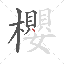 櫻的笔顺第11画:点 櫻的笔顺第11画:点