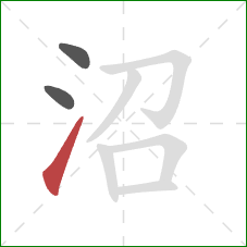 沼的笔顺第3画：提