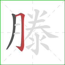 滕的笔顺第2画:横折钩 滕的笔顺第2画:横折钩