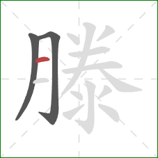 滕的笔顺第3画:横 滕的笔顺第3画:横