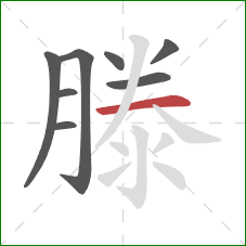 滕的笔顺第8画:横 滕的笔顺第8画:横