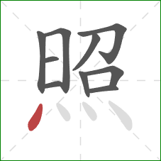 照的笔顺第10画：点