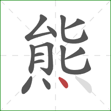 熊的笔顺第13画：点