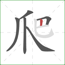 爬的笔顺第6画：竖