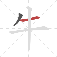牛的笔顺第2画:横 牛的笔顺第2画:横