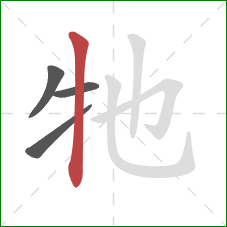 牠的笔顺第4画：竖