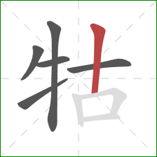 牯的笔顺第6画：竖