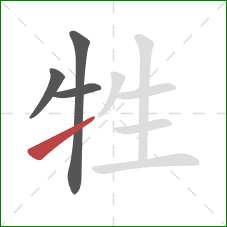 牲的笔顺第4画：提