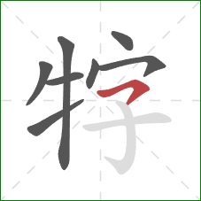 牸的笔顺第8画：横撇