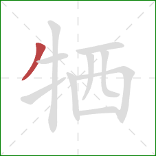 牺的笔顺第1画：撇