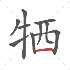 牺的笔顺第10画：横