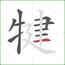 犍的笔顺第9画：横